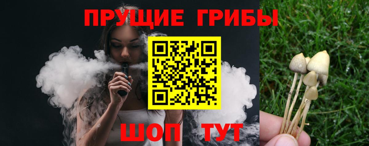 Псилоцибиновые грибы Psilocybine cubensis  Наро-Фоминск 